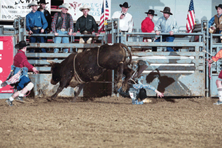 Justin Carlton - Trenton, Tennessee
